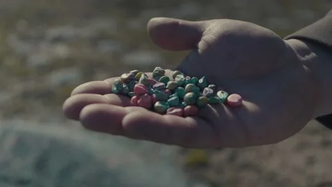 CROP SEED Stock Footage 138480860