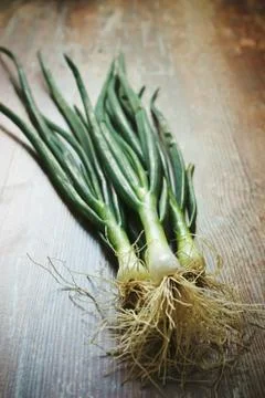 Crop  shallots Stock Photos