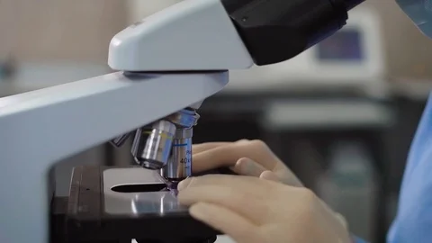 Crop shot of laboratory worker using microscope. Crop faceless shot of female Stock Footage 74597353