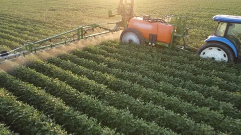 Crop sprayer working on a soybean field at sunset Stock Footage 237926839