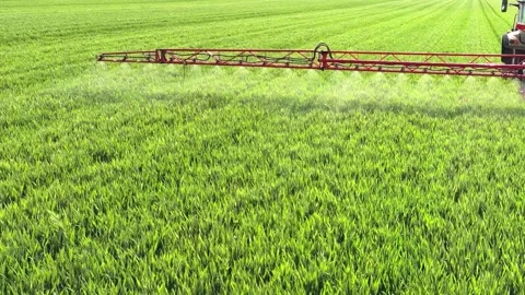 Crop sprayer working on a wheat field, drone shot Stock Footage 329176101