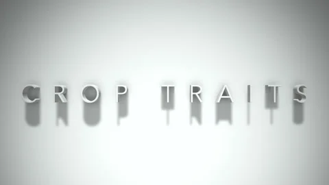 Crop traits 3D title animation with shadows on a white background Stock-Footage 297106625