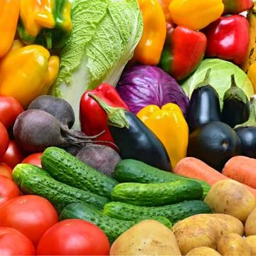 Crop of vegetables. Foto stock