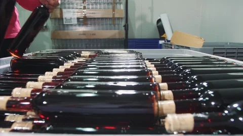 Crop worker arranging wine bottles in container Stock Footage 98281409