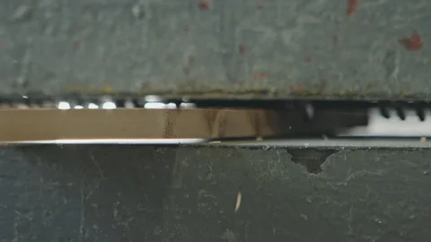 Crop worker processing wood plank in machine - extreme close up. Video stock 103166116