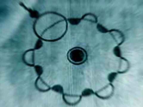 CropC Video stock 359765