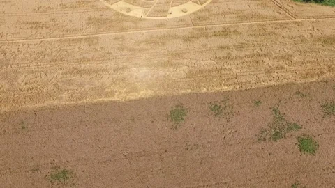 CropCircle 2020 2 Stock Footage 136249761