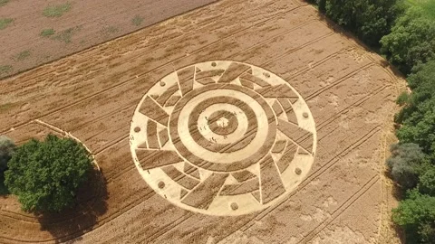 CropCircle 2020 4 Stock Footage 136249702