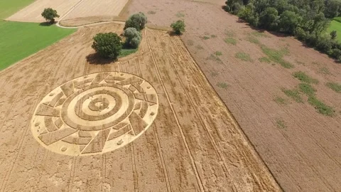CropCircle 2020 6 Stock Footage 136249802