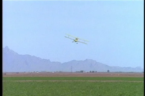 Cropduster flies toward camera Video stock 117200