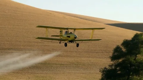 A Cropduster or Crop Duster Spraying a Field Stock Footage 78204202