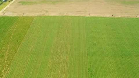 Cropfs water system.mp4 Stock Footage 64993971