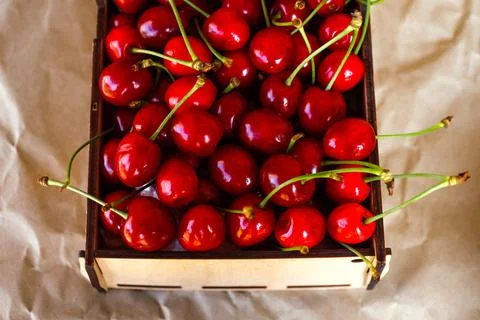 Cropped box, crape of dark red sweet cherries with tail on craft wrinkled pap Stock Photos