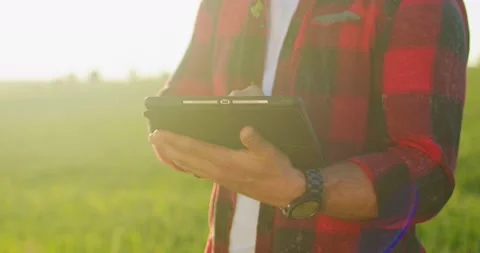 Cropped camera view of the optimistic male farmer scientist wearing hat using Stock Footage 157646648