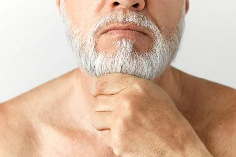 Cropped close-up image of grey haired beard. Taking care after hair and beard Stock Photos
