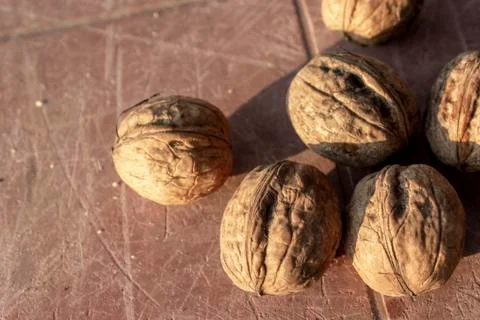 Cropped close-up shoot of batch of walnuts on the bag at sunset time Stock Photos