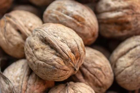 Cropped close-up shoot of batch of walnuts Stock Photos