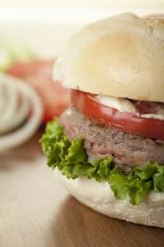 Cropped image of chicken burger sandwich Stock Photos