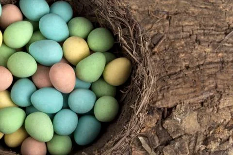 Cropped image of colorful easter eggs in a nest Stock Photos