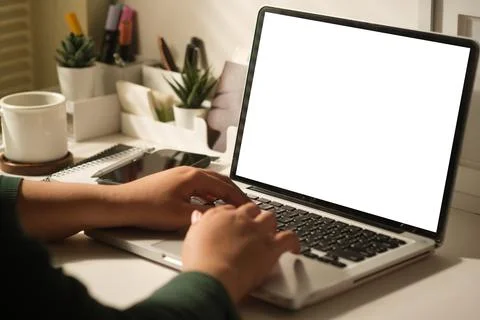 Cropped image of female freelancer using laptop computer. Blank screen for .. Foto stock