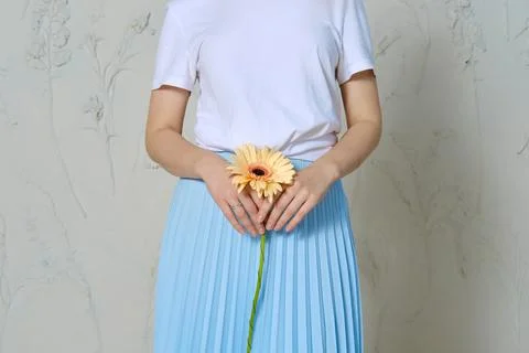 Cropped image of female hands holding flower Foto stock