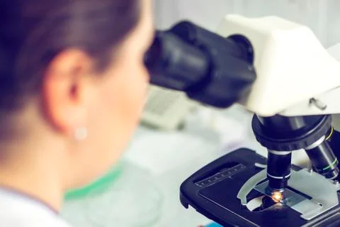 Cropped image of scientist using microscope in laboratory Stock Photos