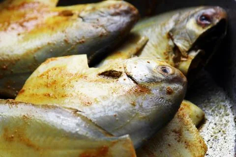 Cropped, partial and close view of sea fish 'Pomfret'.  Stock Photos