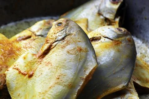 Cropped, partial and close view of sea fish 'Pomfret'.  Stock Photos