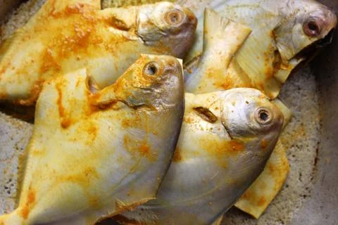 Cropped, partial and close view of sea fish 'Pomfret'.  库存照片