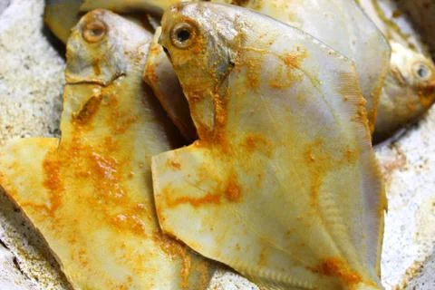 Cropped, partial and close view of sea fish 'Pomfret'.  库存照片