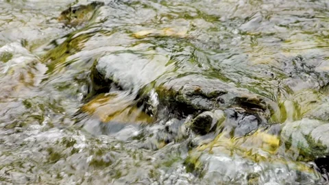 Cropped of a River stream on mountain valley. Stock Footage 265672949