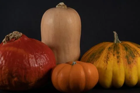 Cropped section of an arrangement of a different pumpkins. Stock Photos