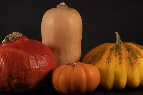 Cropped section of an arrangement of a different pumpkins. Stock Photos