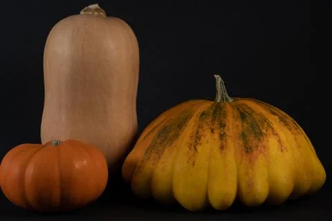 Cropped section of three different pumpkins. Stock Photos
