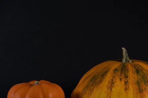 Cropped section of two different pumpkins. 스톡 사진