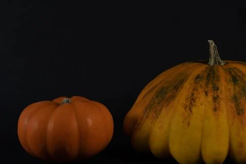 Cropped section of two different pumpkins. Stock Photos