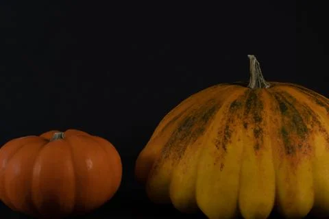 Cropped section of two different pumpkins. Stock Photos