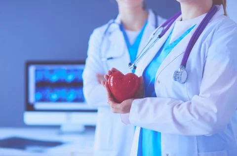 Cropped shoot of two young doctors female with stethoscope holding heart. Stock Photos