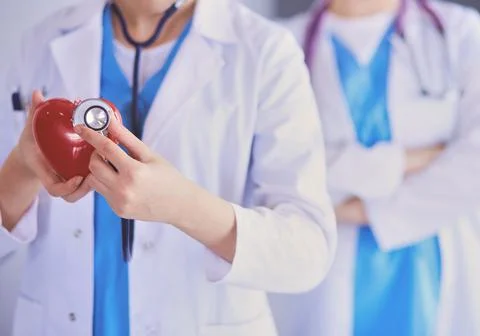 Cropped shoot of two young doctors female with stethoscope holding heart. Stock-Fotos