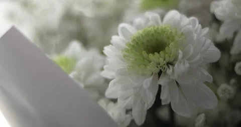 Cropped smiling face lips close-up happy woman hand holding big bouquet of re Stock Footage 301393760