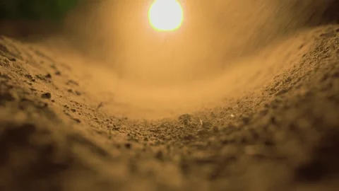 Cropped soil and dust on the ground is a reminder of the fragility and Stock Footage 267059645