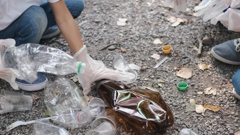 Cropped view of process of collecting garbage by volunteers in forest Stock Footage 124099512