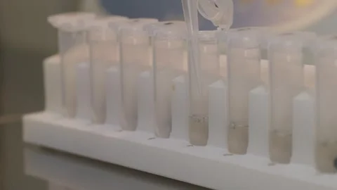 Cropped view of scientist working with pipette and test tubes in laboratory. 스톡 동영상 334702066