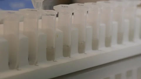 Cropped view of scientist working with pipette and test tubes in laboratory. Vidéo 334702222