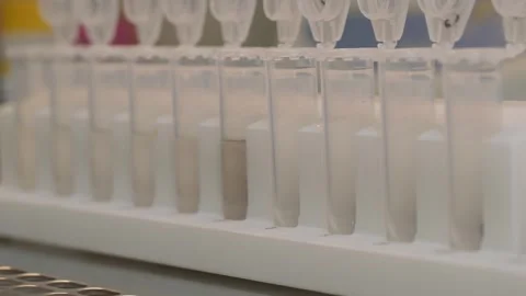 Cropped view of scientist working with pipette and test tubes in laboratory. Vidéo 334702266