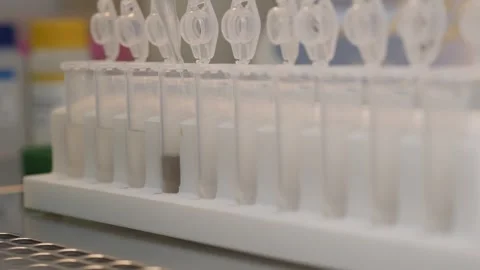 Cropped view of scientist working with pipette and test tubes in laboratory. Stock Footage 336275075