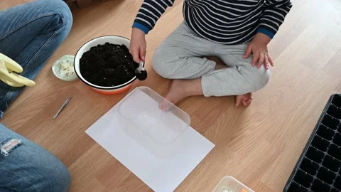 Cropped view of toddler playing with soil. Mom teaches her son to grow plants Stock Footage 152507796