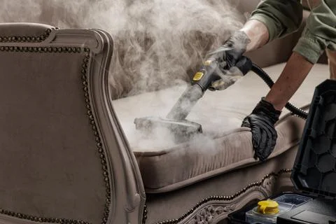 Cropped view of worker steam cleaning classic fabric sofa upholstery Stock Photos