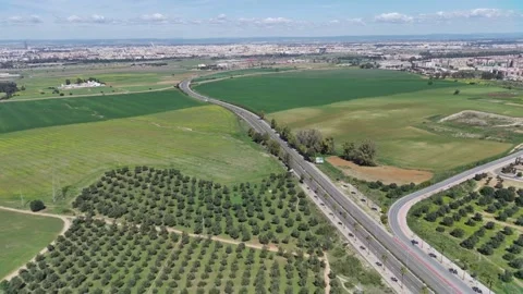Crops on the access road to Seville. 動画素材 237336320