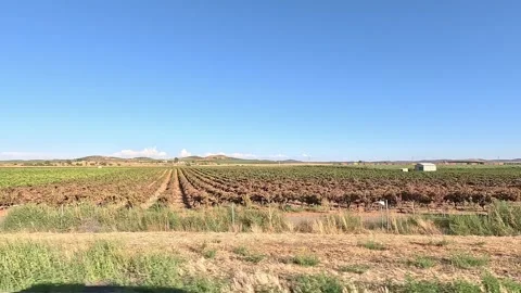 Crops and distant horizon from the side of a car driving Stock Footage 285231247